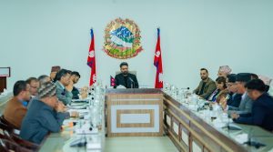 सरकारद्वारा सम्पत्ति जाँचबुझ आयोग गठन